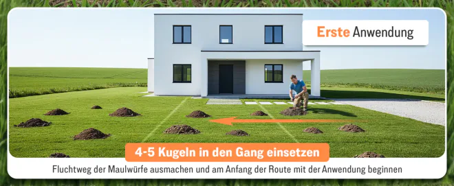 Premium A+ Content für Futum, Bahn 3
