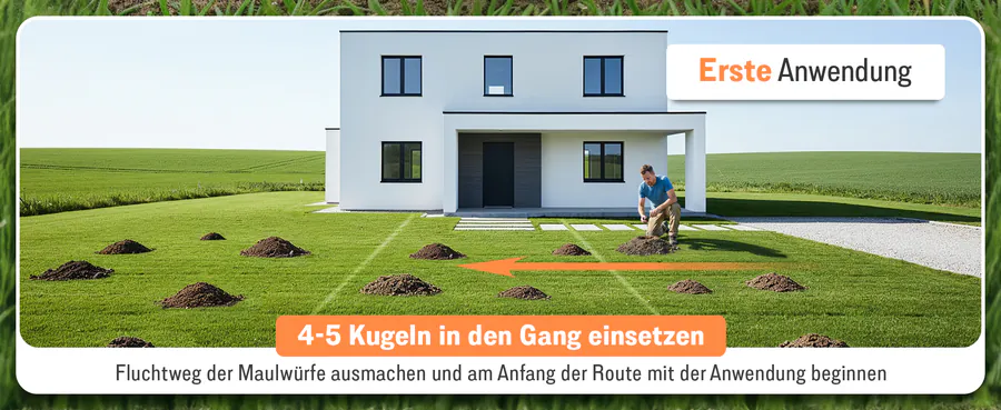 Premium A+ Modul 3 für Maulwurfskugeln von FUTUM