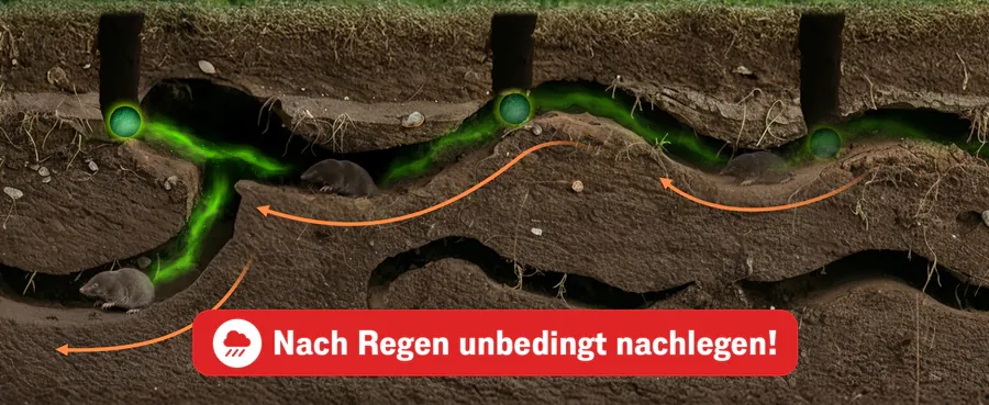 Premium A+ Modul 4 für Maulwurfskugeln von FUTUM