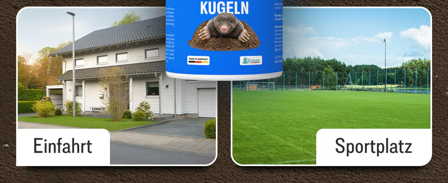 Premium A+ Modul 6 für Maulwurfskugeln von FUTUM