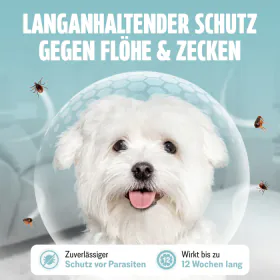 Listingbild 1 für Spot-on für Hunde von FUTUM