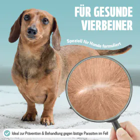 Listingbild 2 für Spot-on für Hunde von FUTUM