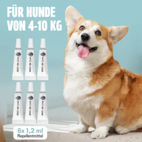 Listingbild 6 für Spot-on für Hunde von FUTUM