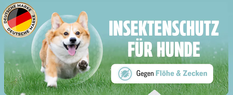 Premium A+ Modul 1 für Spot-on für Hunde von FUTUM