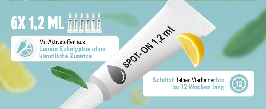Premium A+ Modul 2 für Spot-on für Hunde von FUTUM