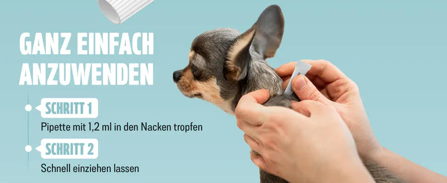Premium A+ Modul 3 für Spot-on für Hunde von FUTUM
