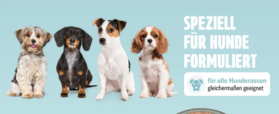 Premium A+ Modul 4 für Spot-on für Hunde von FUTUM