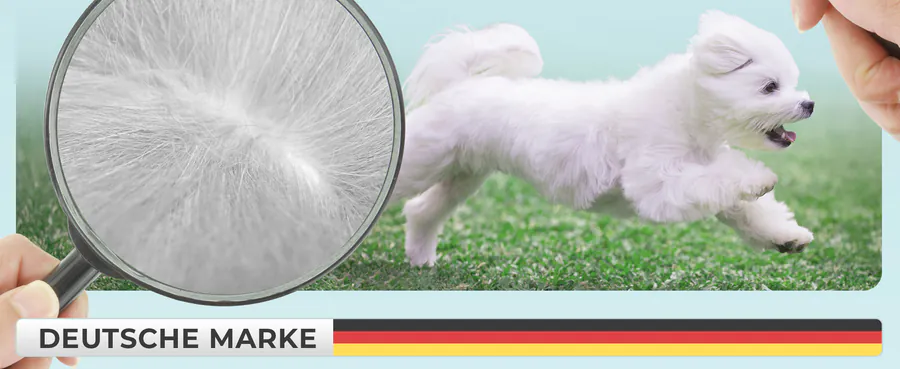 Premium A+ Modul 6 für Spot-on für Hunde von FUTUM
