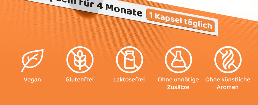Premium A+ Modul 3 für PEA 600 mg von Vitaworld