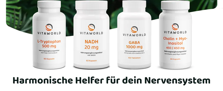 Premium A+ Modul 4 für PEA 600 mg von Vitaworld